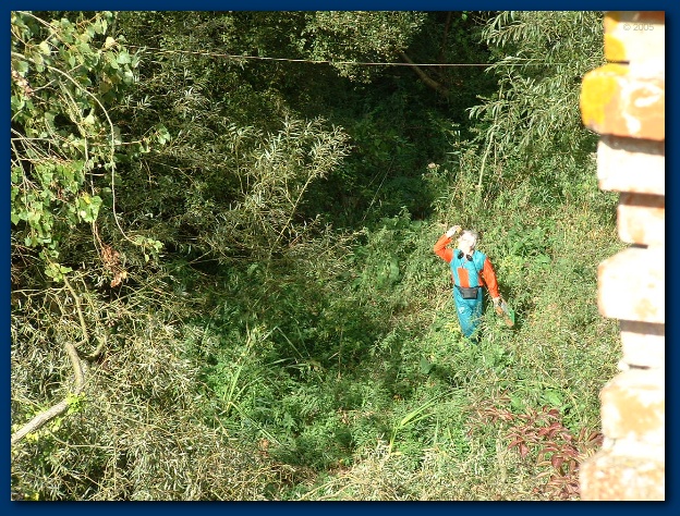 600x449 pixels (228K)